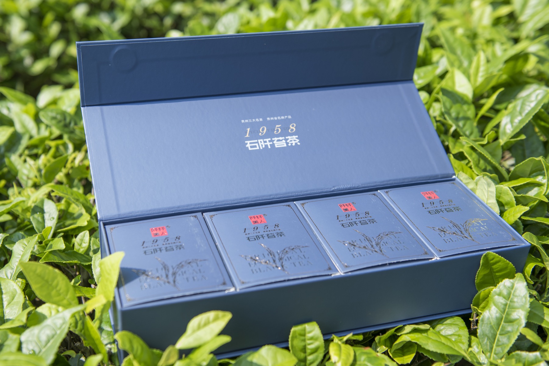 阡纤美人红茶实物礼盒置于石阡茶园